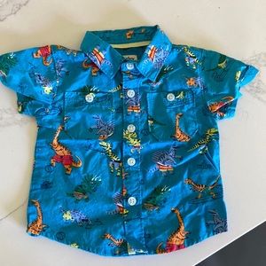 Hatley baby polo shirt, 6-9 months
